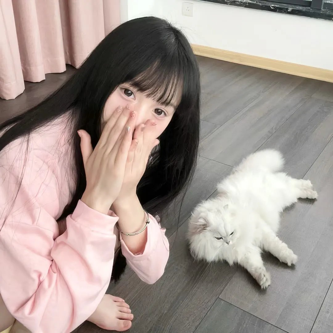 《黑玫瑰》封面